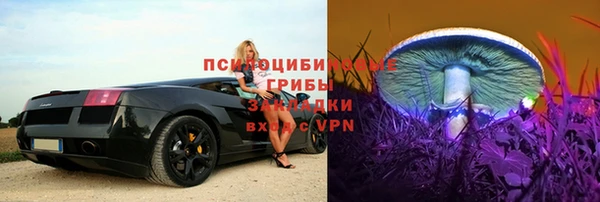 ПСИЛОЦИБИНОВЫЕ ГРИБЫ Кукмор
