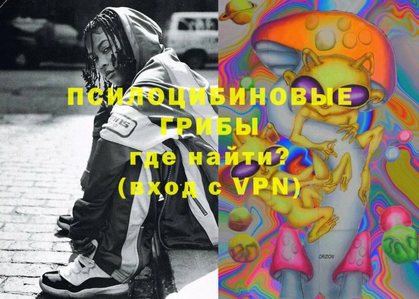 ПСИЛОЦИБИНОВЫЕ ГРИБЫ Кукмор