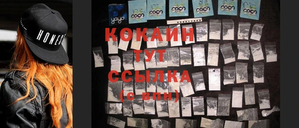 прущие грибы Сафоново