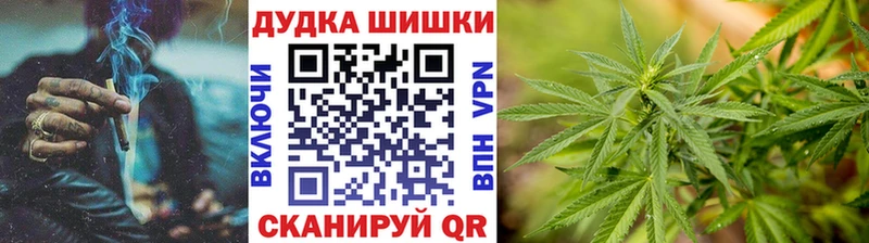 Конопля конопля  Ладушкин 